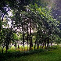 Мценск летом. :: Владимир Драгунский