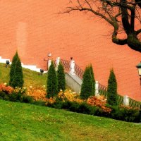 Осень в Александровском саду. :: Татьяна Помогалова