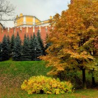 Наступил НОЯБРЬ! :: Татьяна Помогалова Наступил НОЯБРЬ! :: Татьяна Помогалова