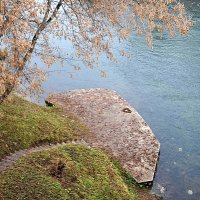 Признание в любви поздней осени... )) :: Владимир Хиль