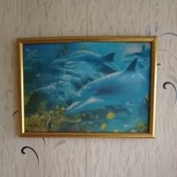 Картина :: Лека 