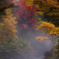 Кипящая река :: Ксения N