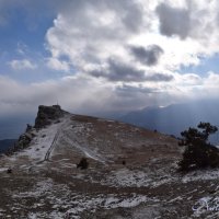 Природа Крыма :: Amazing Cosmea