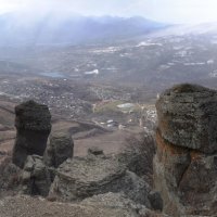 Природа Крыма :: Amazing Cosmea