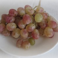 Просто виноград :: Ирина Олехнович