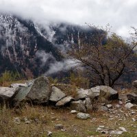 Моменты осени :: Алексей Большаков