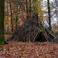 У шалаша... :: Николай Гирш У шалаша... :: Николай Гирш