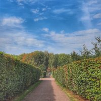 Кусково :: Irene Irene