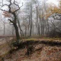 На краю :: Валерий VRN