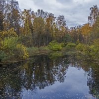 Ботанический сад. Октябрь. :: Сергей Фомичев
