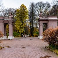 *** :: Дмитрий Лупандин *** :: Дмитрий Лупандин