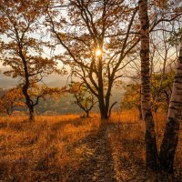 Осень в лесу :: Фёдор. Лашков