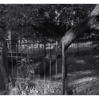 объять необъятное :: sv.kaschuk 