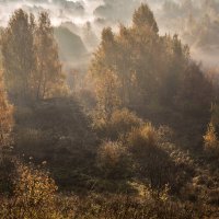 Сходненская чаша :: Елена 