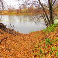 Подход к реке :: Андрей Снегерёв