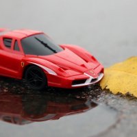 Миниатюрный мир :: skijumper Иванов