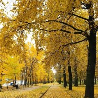 Осень. :: Михаил Свиденцов