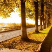 Осень. :: Михаил Свиденцов