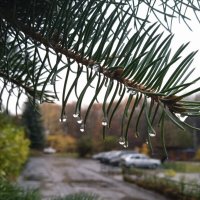 Осень.. :: Наталья Абрамова