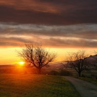 sunset :: Elena Wymann