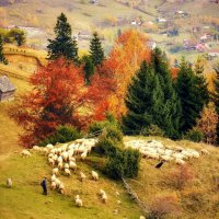 Карпати :: Степан Карачко