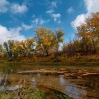 Природный парк Волго-Ахтубинская пойма. :: Дина Евсеева