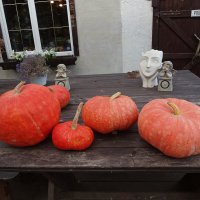 Осенний натюрморт :: Лидия Бусурина