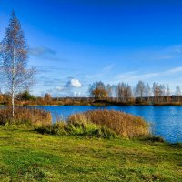 Природа Смоленщины в конце октября. :: Милешкин Владимир Алексеевич Природа Смоленщины в конце октября. :: Милешкин Владимир Алексеевич