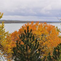 Осень золотая :: Vladimir Lisunov Осень золотая :: Vladimir Lisunov