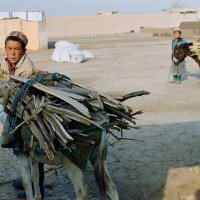 Дети привезли дрова :: Сергей Золотавин