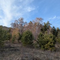 Каркаралы :: Андрей Хлопонин Каркаралы :: Андрей Хлопонин