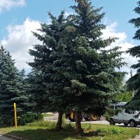 Мценск летом. :: Владимир Драгунский