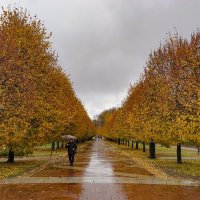 Осень в Царицыно :: Ольга Осень в Царицыно :: Ольга