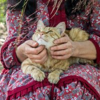 Жамканье Кота :: Игорь Волков