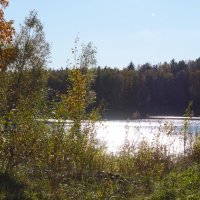 Побережье лесного озера :: Рита Симонова