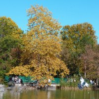 Осенний парк Гагарина :: Валентин Семчишин Осенний парк Гагарина :: Валентин Семчишин