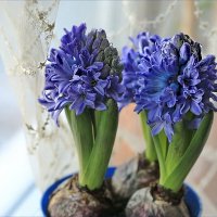 Была весна :: ZNatasha -