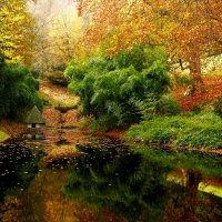 Осенний уголок :: Юрий. Шмаков