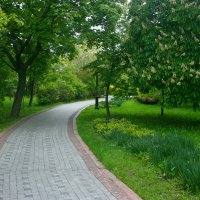 Устьинский сквер :: Игорь Белоногов