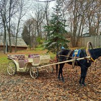 Лошадь с телегой в осеннем парке :: Алексей Р.