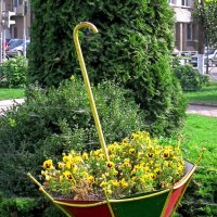 Клумба-зонтик :: Сергей Карачин Клумба-зонтик :: Сергей Карачин