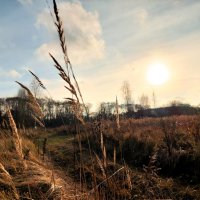 пейзаж :: Артём пейзаж :: Артём