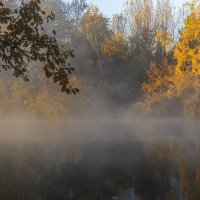 *** :: Игорь Протасов