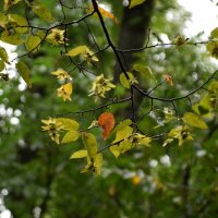 На Машуке облако 4 :: Павленко Михаил 