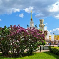 ВДНХ :: Наталья 