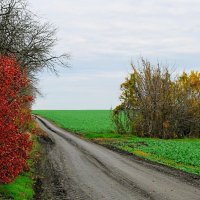 Кубанский ноябрь. :: Владимир 