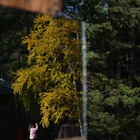 * :: Наталья Покацкая