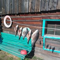 Рыба из моего пруда :: Лека 