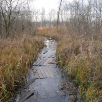 дорога к бездонному озеру :: fogmeadowww m