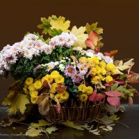 Осенний натюрморт :: Светлана Ищенко